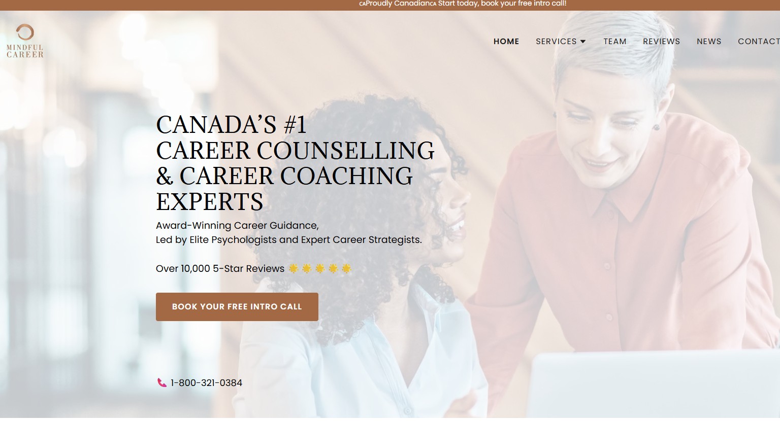 Mindful Career